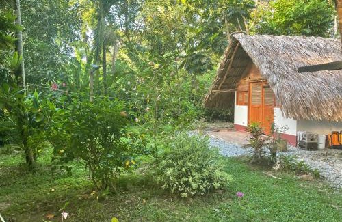Capurgana House | Cabañas Tucan Eco Hotel