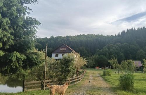 Cosbuc House | Cabana Țibleș Bichigiu