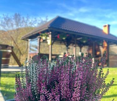 Sohodol House | Cabana Baraj Apuseni Mountains
