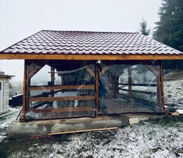 Belis House | Cabana Beliș