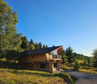 Vatra Dornei Ski Chalet | Cabana Catalina