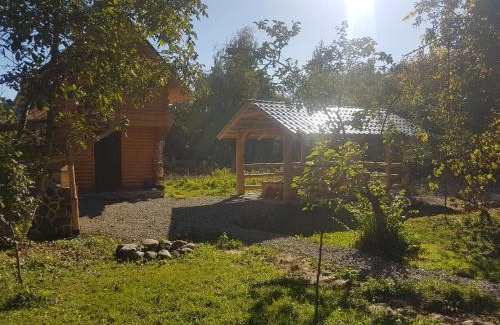 Ocna Sugatag Cabin | Cabana Colt de Rai