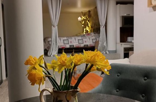 Colibita Apartment | Cabana de pe Stanca