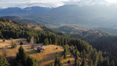 Borsa Ski Chalet | Cabana din Munți