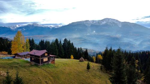 Borsa Ski Chalet | Cabana din Munți