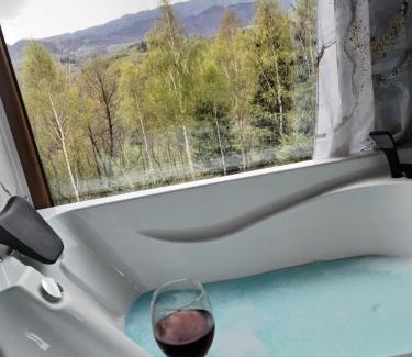 Moieciu Cabin | Cabana doi mesteceni