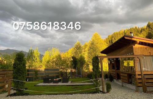 Borsa House | Cabana La Batranu