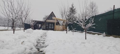 Magureni House | Cabana La Bica