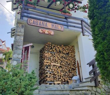 Petrosani House | Cabana Maly