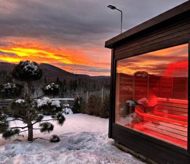 Paltinoasa Ski Chalet | Cabana Mario