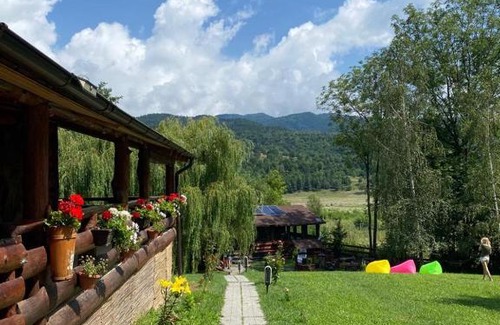 Darmanesti House | Cabana MARISA