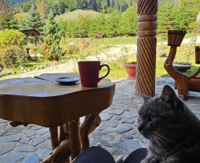 Stulpicani Villa | Cabana Perla Muncelului