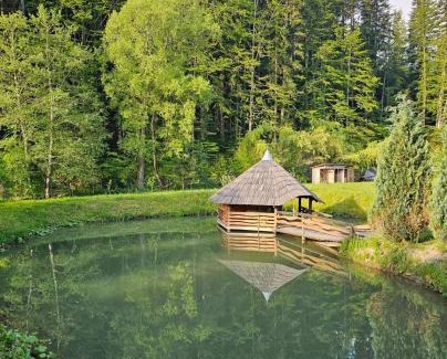 Stulpicani Villa | Cabana Perla Muncelului