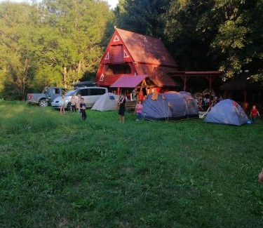 Poiana Vadului House | Cabana trei paltini