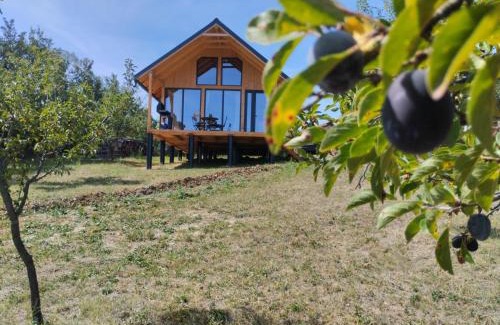 Baiculesti Cabin | Cabana Valea Brazilor