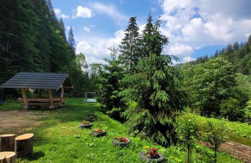 Vatra Moldovitei Cabin | Cabana Vultur