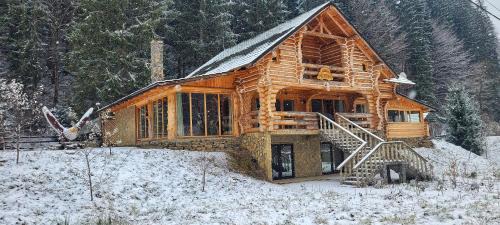 Vatra Moldovitei Cabin | Cabana Vultur