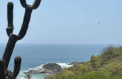 Mazunte House | Cabanas Alegria - Ocean View Master Suites