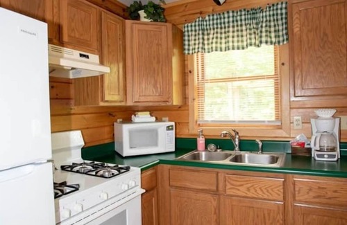 Gaylord House | Cabin 2474 - Spacious Log Home inside Private Resort