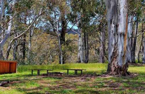 Adaminaby House | Cabin 3 - Snowy Accommodation