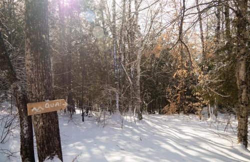 Saint-Aime-du-Lac-des-Iles Ski Chalet | Cabin N1 Les Grand'Pares Lake view Jacuzzi
