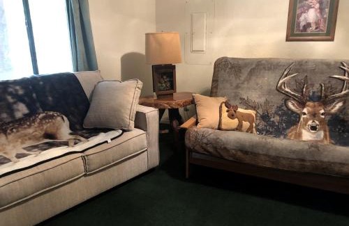 Pine House | Cabin Getaway near to Pine, Arizona that is Perfect for a Family Vacation