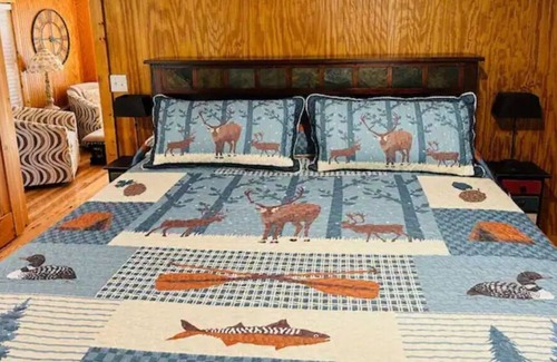 Townville House | Cabin Lake Hartwell near Clemson and Greenville