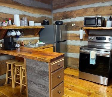 Trenton House | Cabin Lookout Mountain