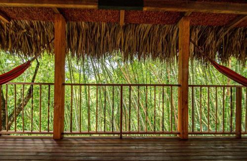 Andes House | Cabin Nestled in Bamboo Forest
