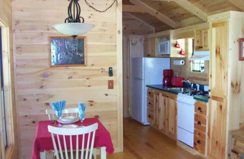 Hendersonville Cabin | Cabin on the Hill-Peaceful 1BR 20-Acre Rural Retreat-HotTub&WiFi near Asheville