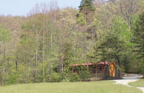 Hendersonville Cabin | Cabin on the Hill-Peaceful 1BR 20-Acre Rural Retreat-HotTub&WiFi near Asheville