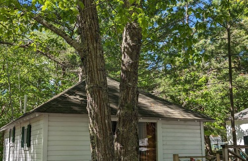 Bar Harbor Apartment | Cabin Tucked inside the Pine trees Cabin 11
