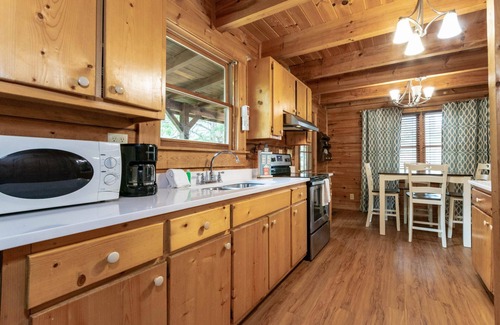 Pine Mountain Cabin | Cabin with a fire place in the woods