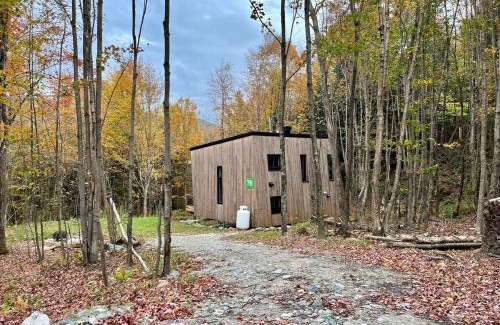 Eastman House | Cabin Zoobox 76