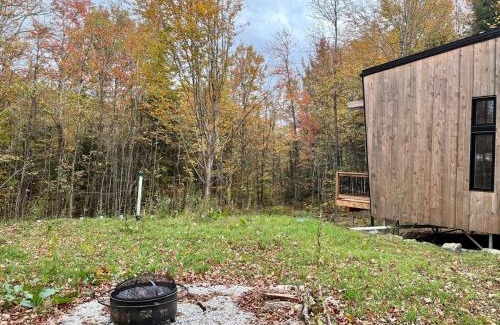 Eastman House | Cabin Zoobox 76