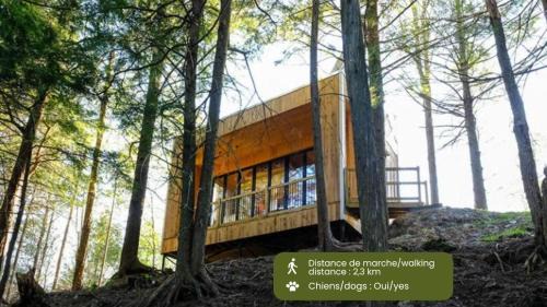 Eastman House | Cabin Zoobox 84