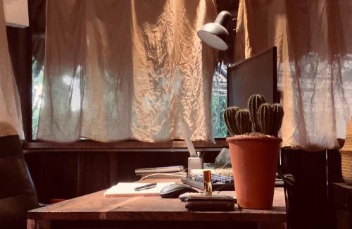 District 12 Bed & Breakfast | Cactos Chill & Homestay