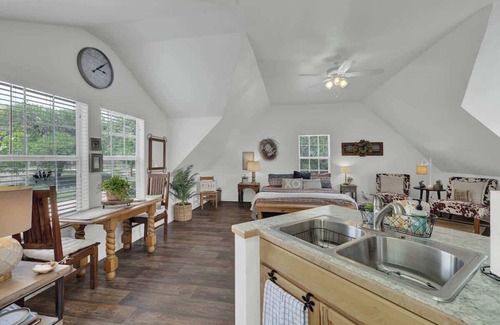 Fredericksburg House | Cactus Flower Treehouse-Pet Friendly-Scenic Views!