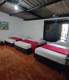 Filandia Hotel | Cafilandia
