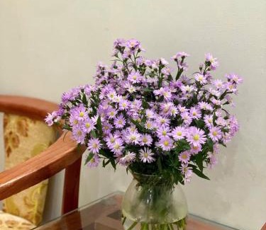 Tay Ninh Hotel | Cali Hotel Tây Ninh