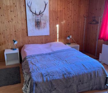 Klosters-Serneus Apartment | California House