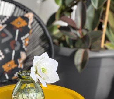 Chayofa Apartment | Calima house