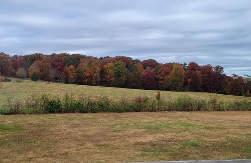 Athens - Sweetwater House | Calm, peaceful getaway central to so many attractions