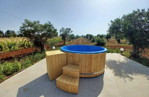 Santa Caterina House | Camera Carolea tra gli ulivi del Salento e spiagge Porto cesareo e Torre Lapillo