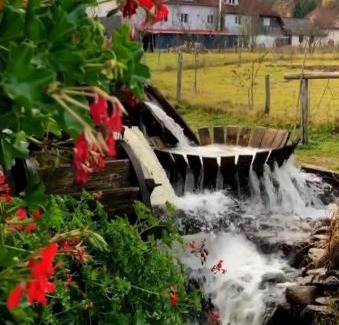 Poieni Cabin | Camere de închiriat Trandafirilor