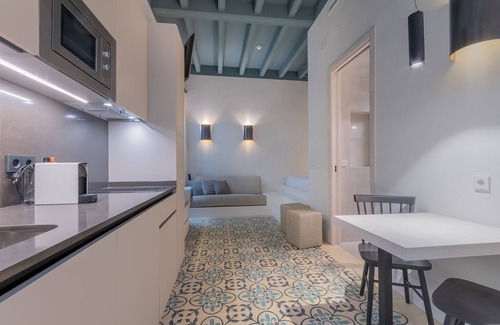 Museo Apartment | Caminante del Agua III