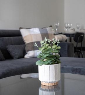 Larkhall House | Camneth House