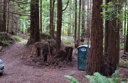 Fortuna RV Rental | Camp in private Redwoods, no fires