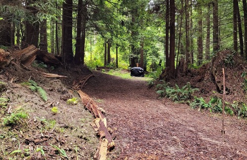 Fortuna RV Rental | Camp in private Redwoods, no fires