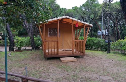 Marina di Castagneto Carducci Other | Camping Continental